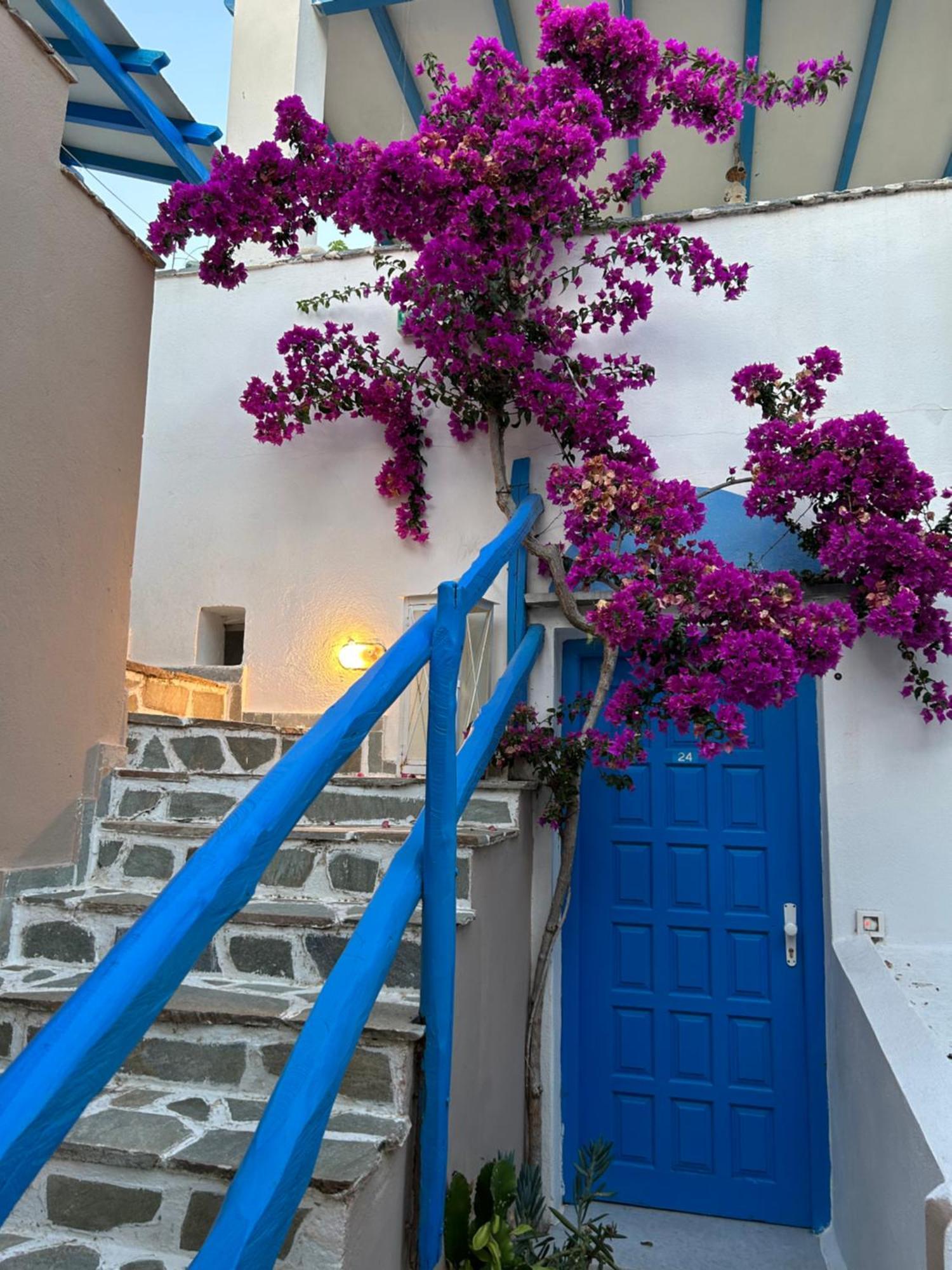 Sea View Apartments & Studios Agia Anna (Naxos) Exterior foto